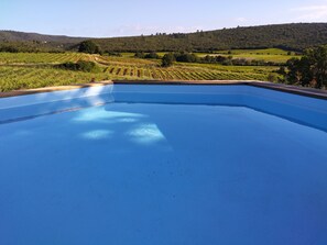 Outdoor pool - Country villa amidst vineyards (Seillons-Source-d'Argens)