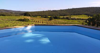 Country villa amidst vineyards