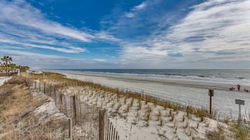 サンラウンジャー、ビーチタオル