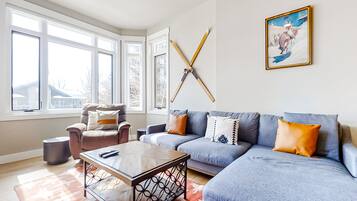 TV, fireplace, books