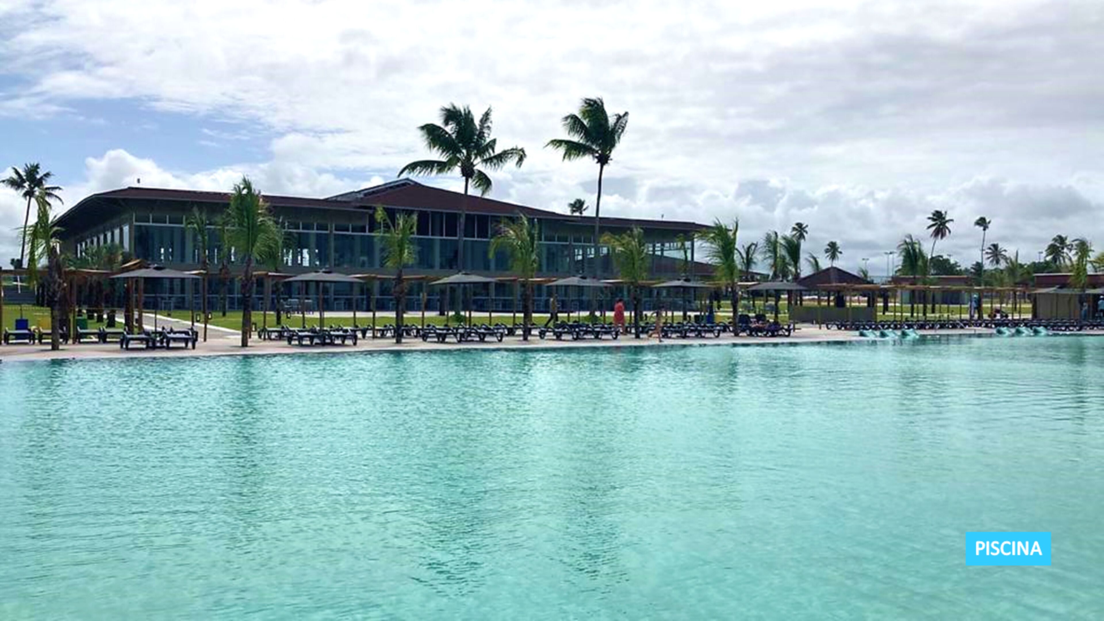 A large swimming pool with lounge chairs and umbrellas, surrounded by palm trees and a modern building with large windows.
