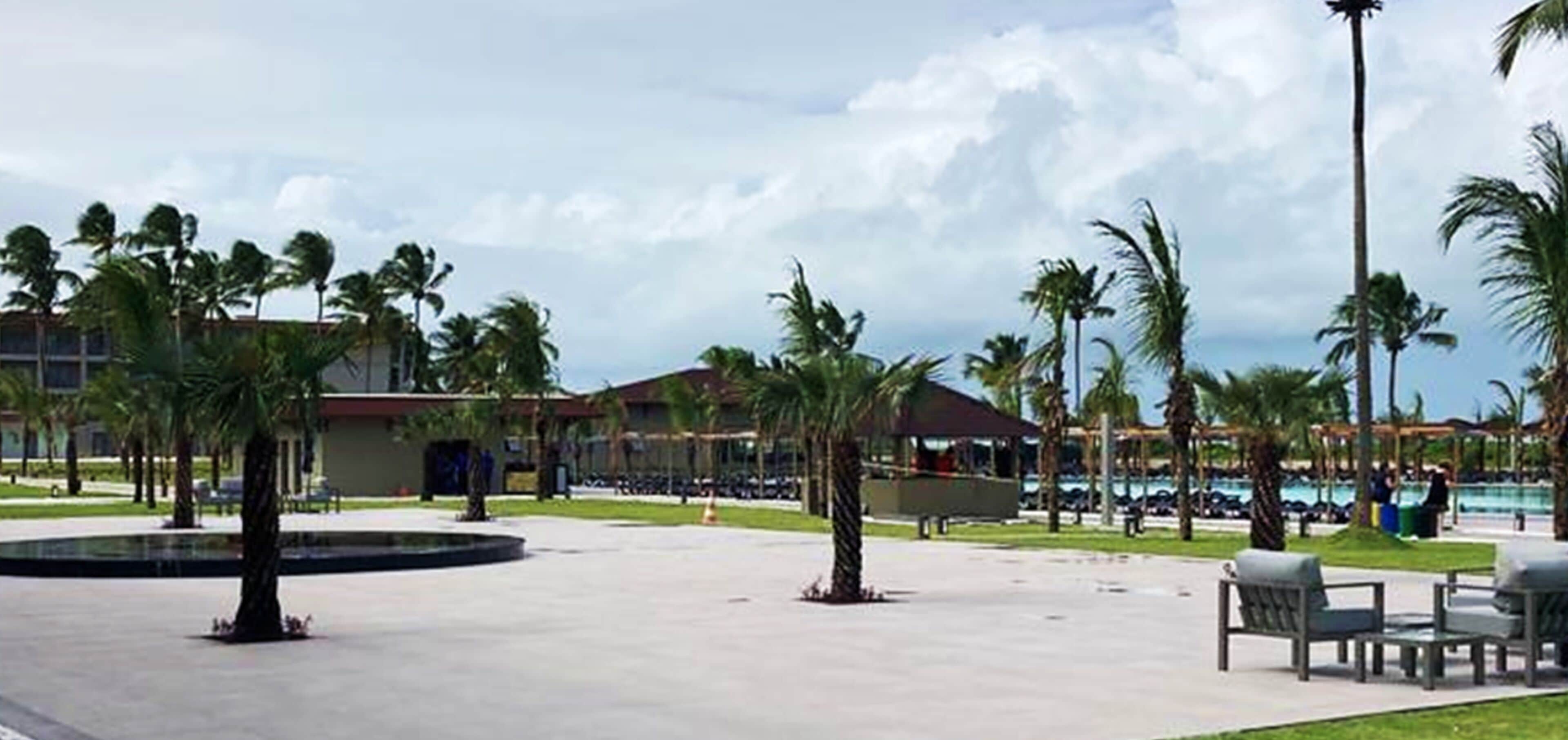 A spacious outdoor area with palm trees, a pool, and lounge chairs.