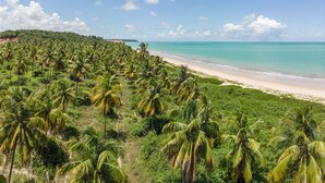 A beach with a line of palm trees and a sandy shore. - Vila Galé Alagoas - All Inclusive (Barra de Santo Antonio)
