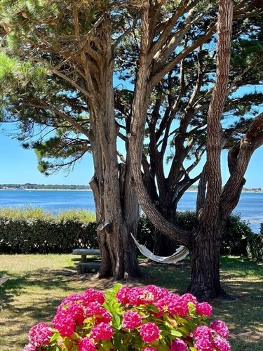 Charming oceanfront cottage