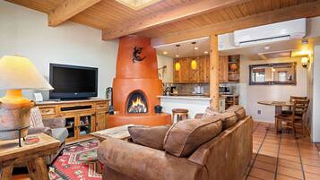 Smart TV, fireplace, DVD player, books