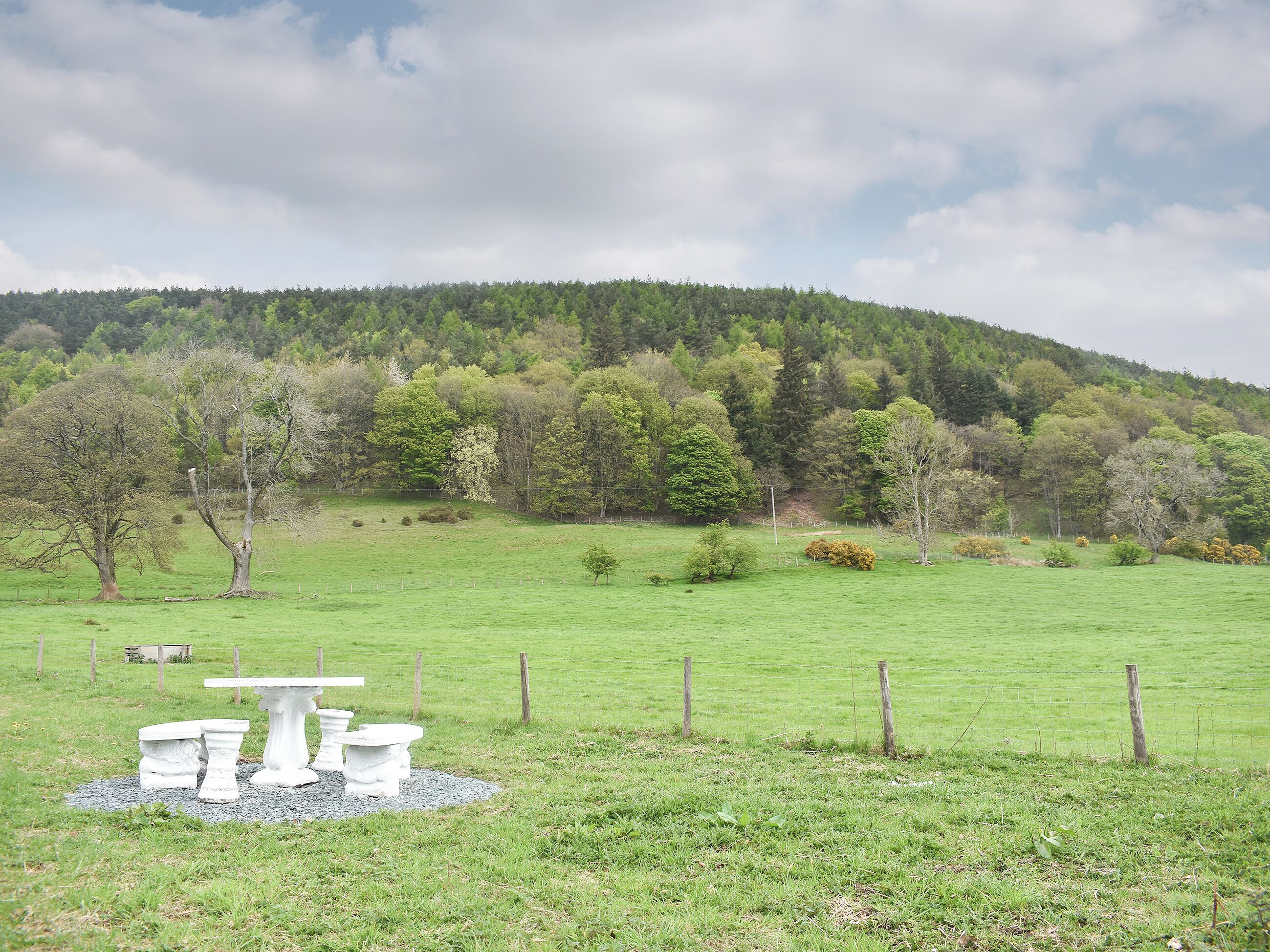 A grassy field with a white table and benches, surrounded by a fence and trees.