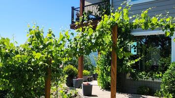 Une maison moderne dotée d’un balcon, d’un jardin avec des vignes et surplombant un ciel d’un bleu éclatant.