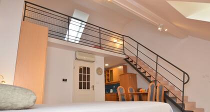 Cozy duplex one-bedroom apartment