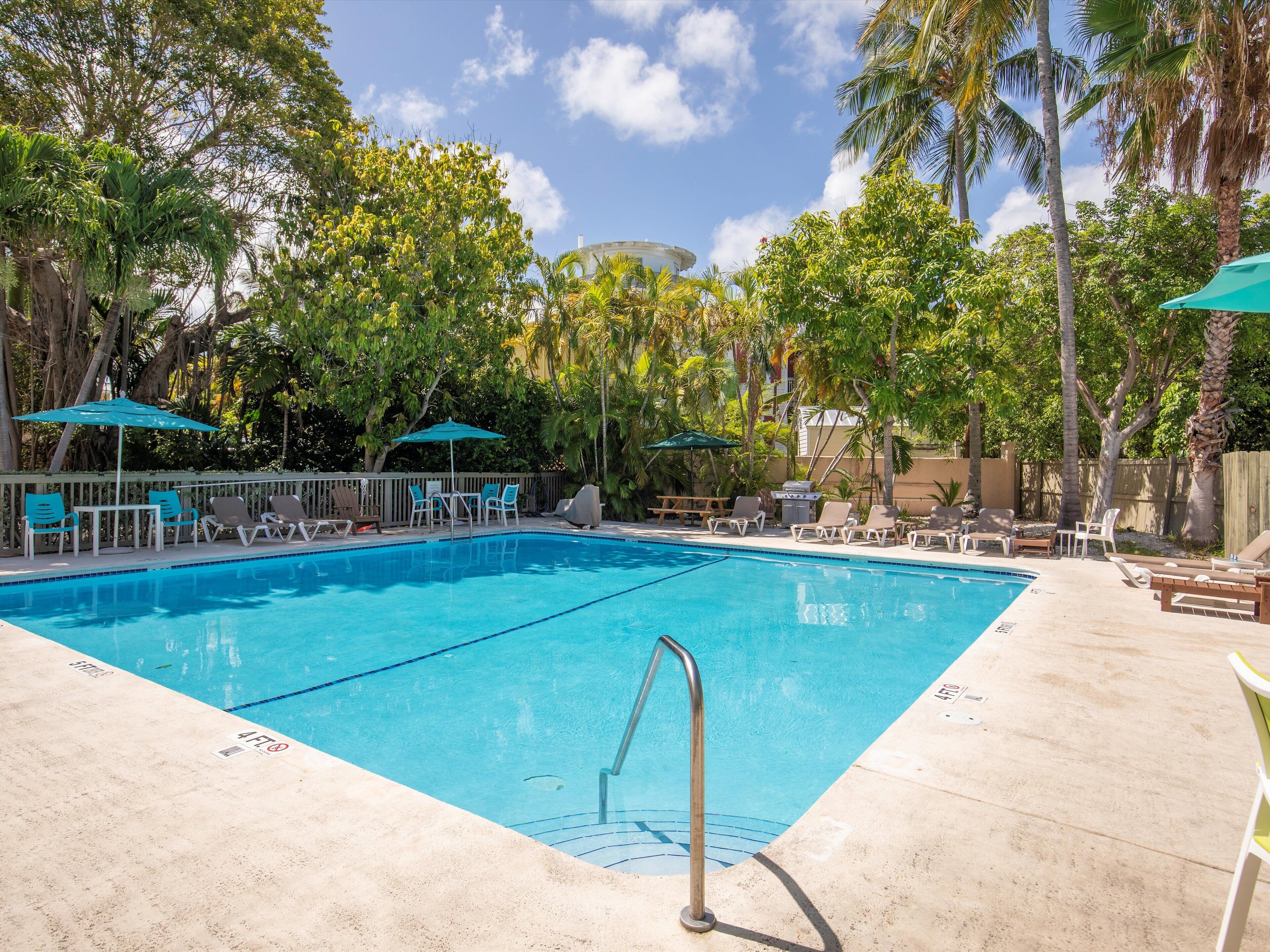 A rectangular swimming pool with a metal ladder, surrounded by lounge chairs and umbrellas, with palm trees and a wooden fence in the background.