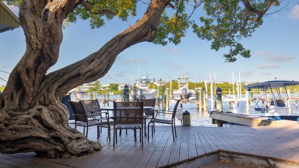 A wooden deck with a large tree, outdoor seating, and a marina in the background. - Poolside Cottage #412 (Key West)