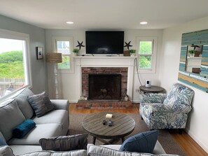 TV, fireplace, DVD player, books