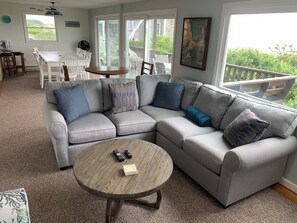 Télévision, cheminée, lecteur de DVD, livres