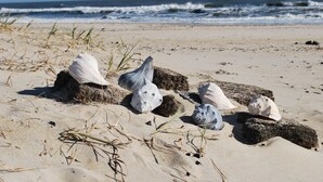 Beach towels - Sand Dollar Villa (Chincoteague)