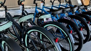 A row of bicycles parked indoors with a wooden ceiling and windows in the background. - Sand Dollar Villa (Chincoteague)
