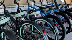 A row of bicycles parked indoors with a wooden ceiling and windows in the background.