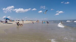 Beach - Flamingo Villa (Chincoteague)