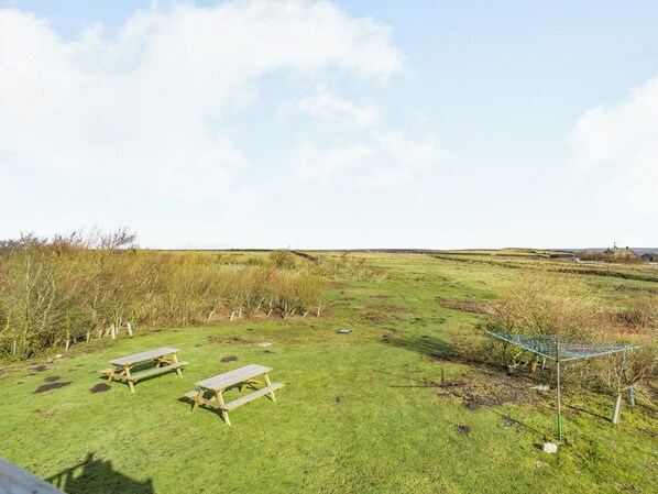 A grassy outdoor area with picnic tables and a clothesline.