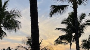 A golf course with palm trees and a sunset in the background.
