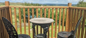 Arthur Bear - UK37992