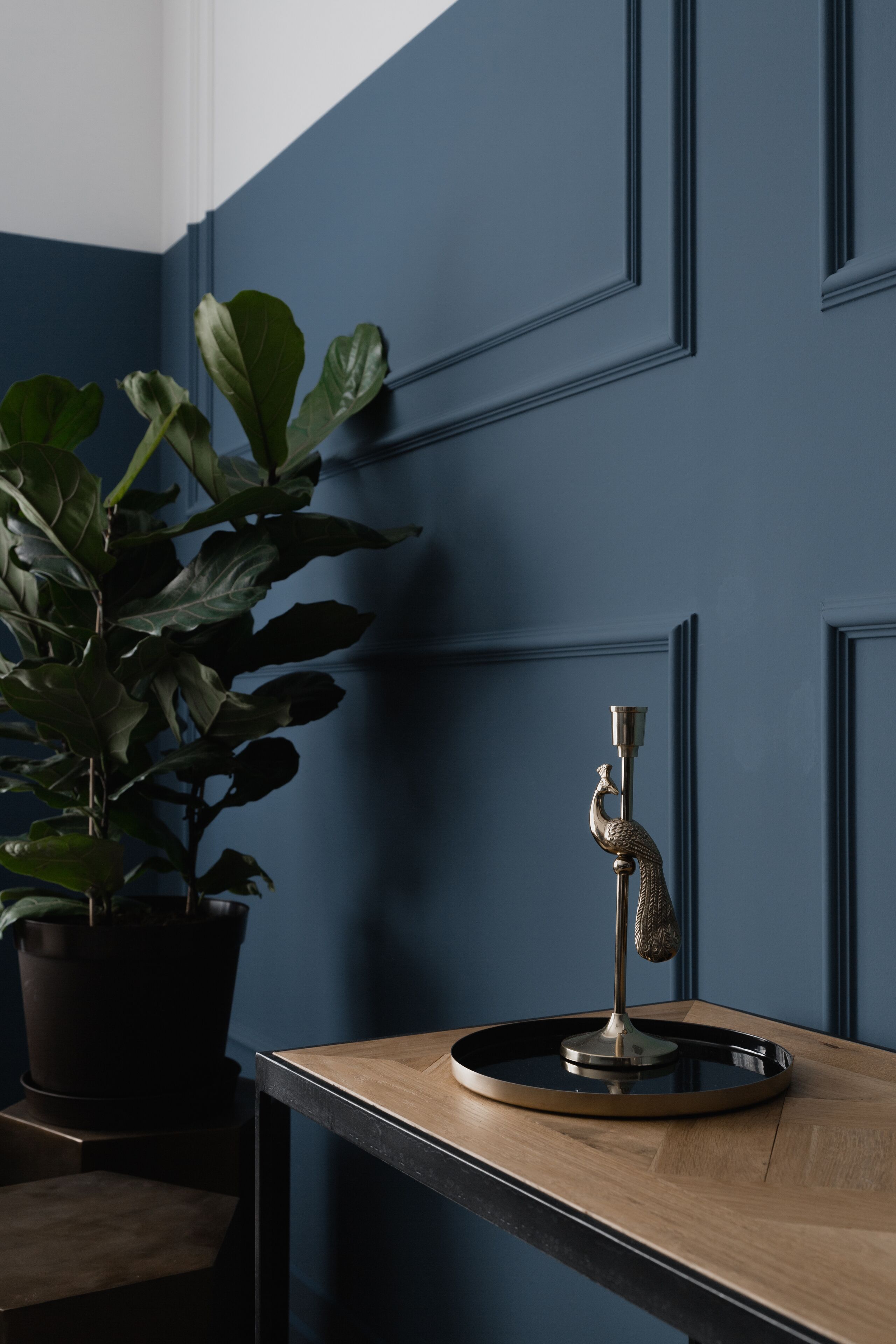 A room with a dark blue wall, a wooden table, and a potted plant.