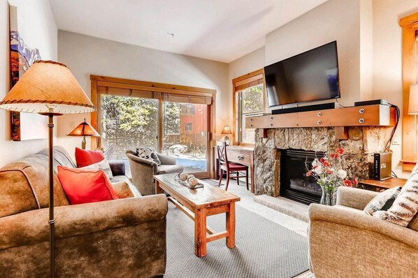 Télévision, cheminée, lecteur de DVD