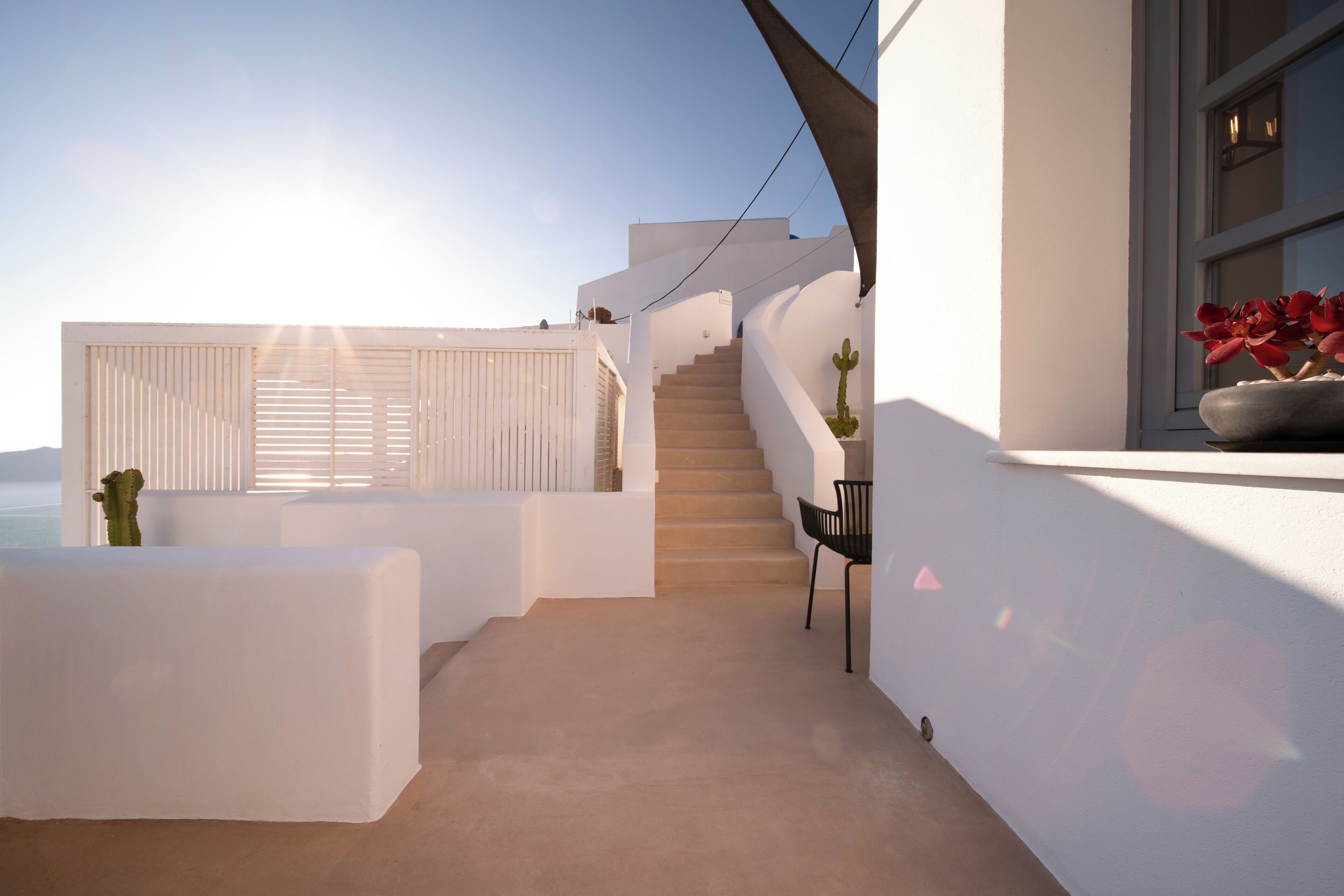 Un espacio exterior moderno con escaleras, paredes blancas y una planta de cactus.