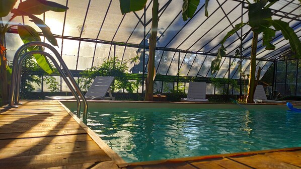 Outdoor pool, pool loungers