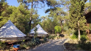 Tent