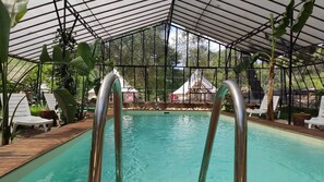 Outdoor pool, pool loungers
