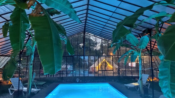 Zona de piscina interior con techo de vidrio, rodeada de grandes plantas verdes y equipada con sillones de descanso.