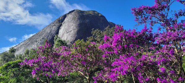 Vista frontal de la propiedad