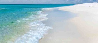 Downtown home + bay views + seafood market