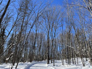 Snow and ski sports - Delightful newly built 1-Bedroom Tiny House in the forest (Unorganized Centre Parry Sound)