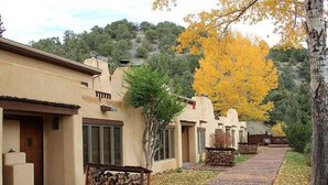 A pathway lined with buildings, each with a distinct architectural style, leading towards a wooded area.
