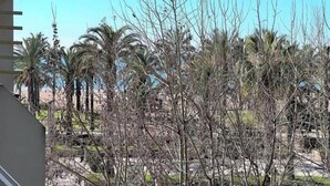 المنطقة المحيطة بالمنشأة