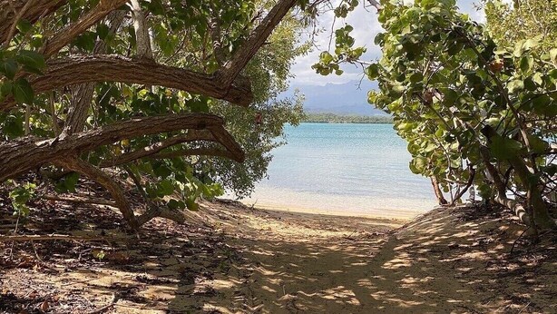 A beach path leading to a sandy shore with trees on either side. - Spacious 3 bedroom apartment with sea view short drive to ferry station. (Ceiba)