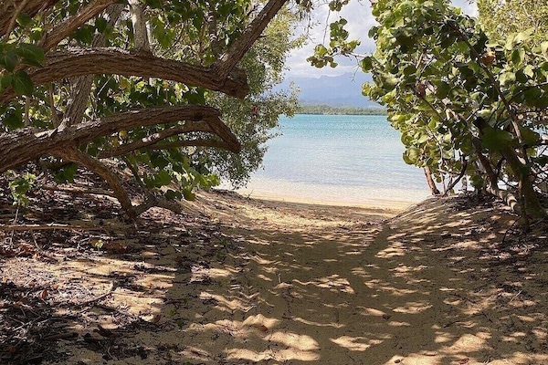 Sun loungers, beach towels
