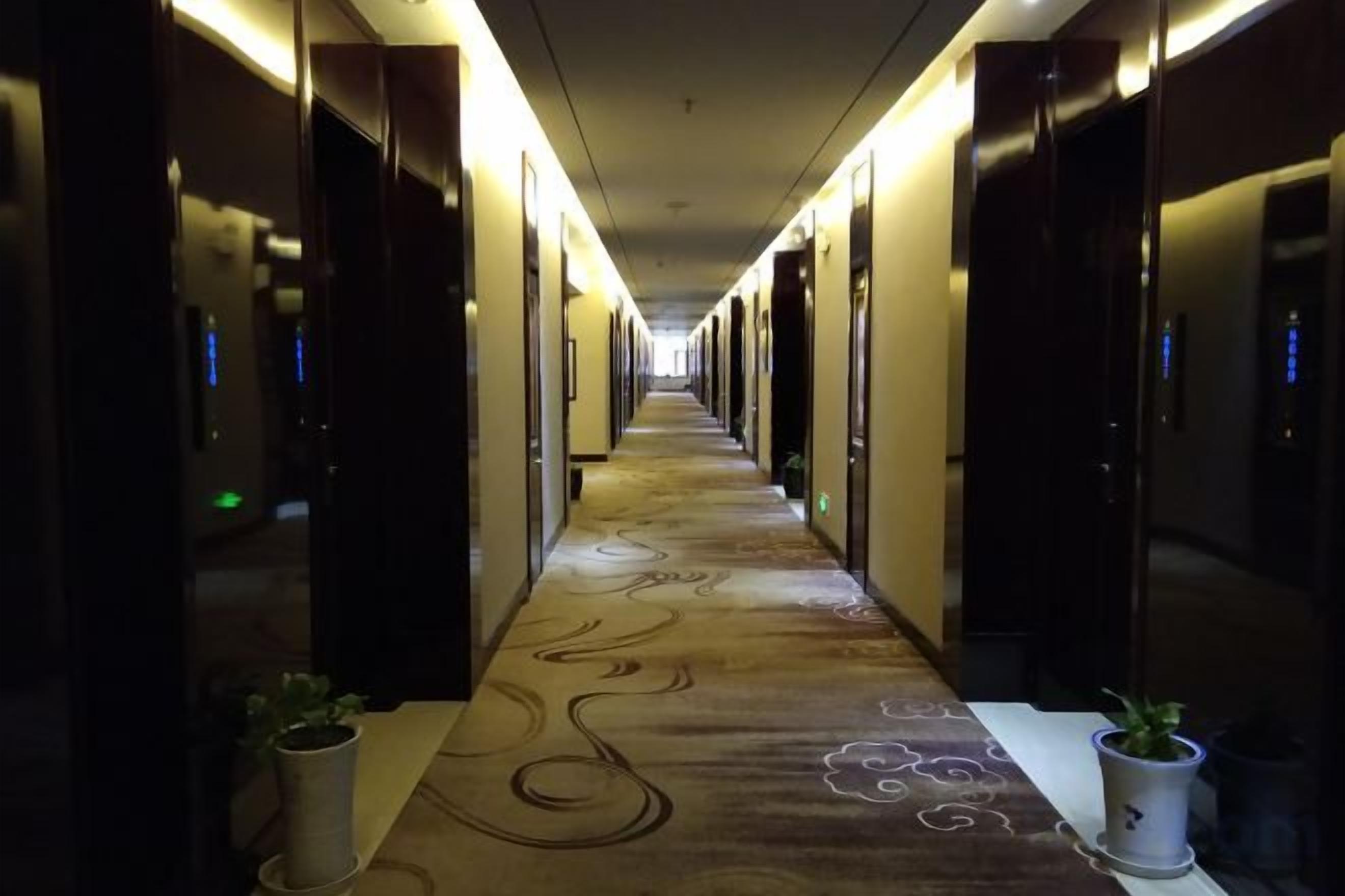 A hotel corridor with doors on both sides, a patterned carpet, and potted plants at the end.