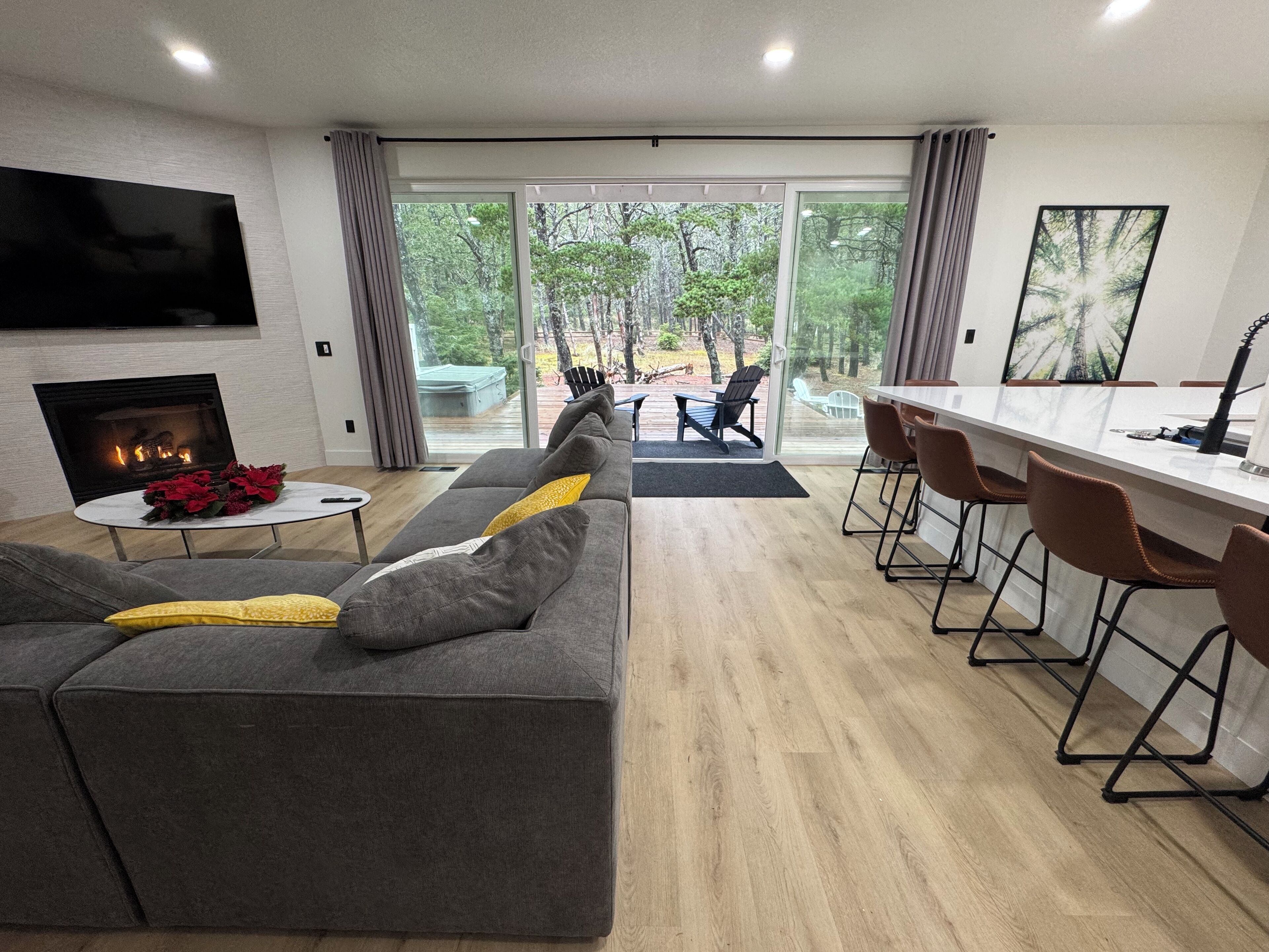 TV connectée, cheminée, jeux vidéo, livres