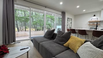 Smart TV, fireplace, books