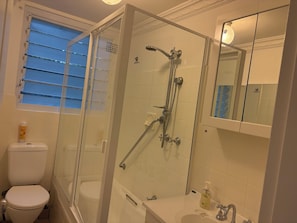 A bathroom with a glass-enclosed shower, a toilet, and a sink with a mirror above it.