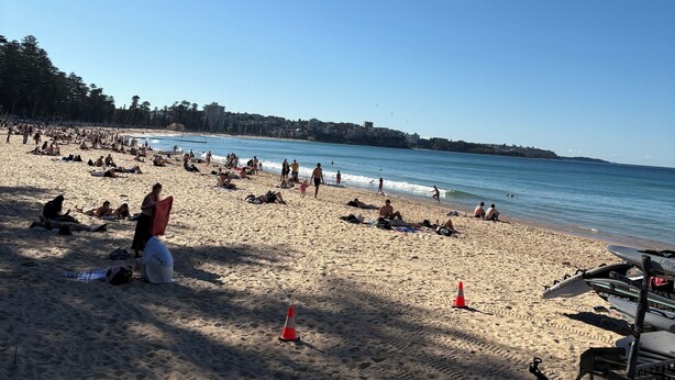 A beach with people sunbathing and swimming, a lifeguard tower, and a clear sky. - MANLYS FINEST LOCATION SO CLOSE TO BEACH SHOPS AND FERRY  (Manly)