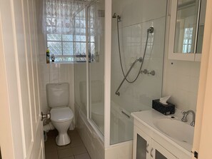 Combined shower/bathtub, hair dryer, soap