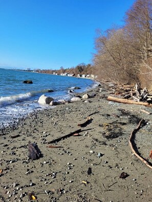 Escape to a serene beach setting with calm waters and a natural, rugged shoreline.