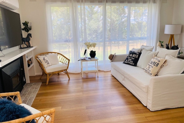 TV connectée, cheminée, livres