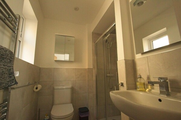 A bathroom with a toilet, a shower, a sink, and a mirror.