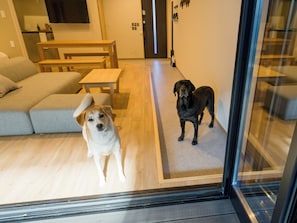 TV - DogFriendly roomCapacity of 4persons  / Nikko Tochigi (Nikko)