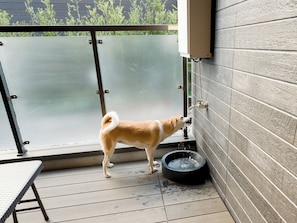 Interior - DogFriendly room Capacity of 8 persons / Nikko Tochigi (Nikko)