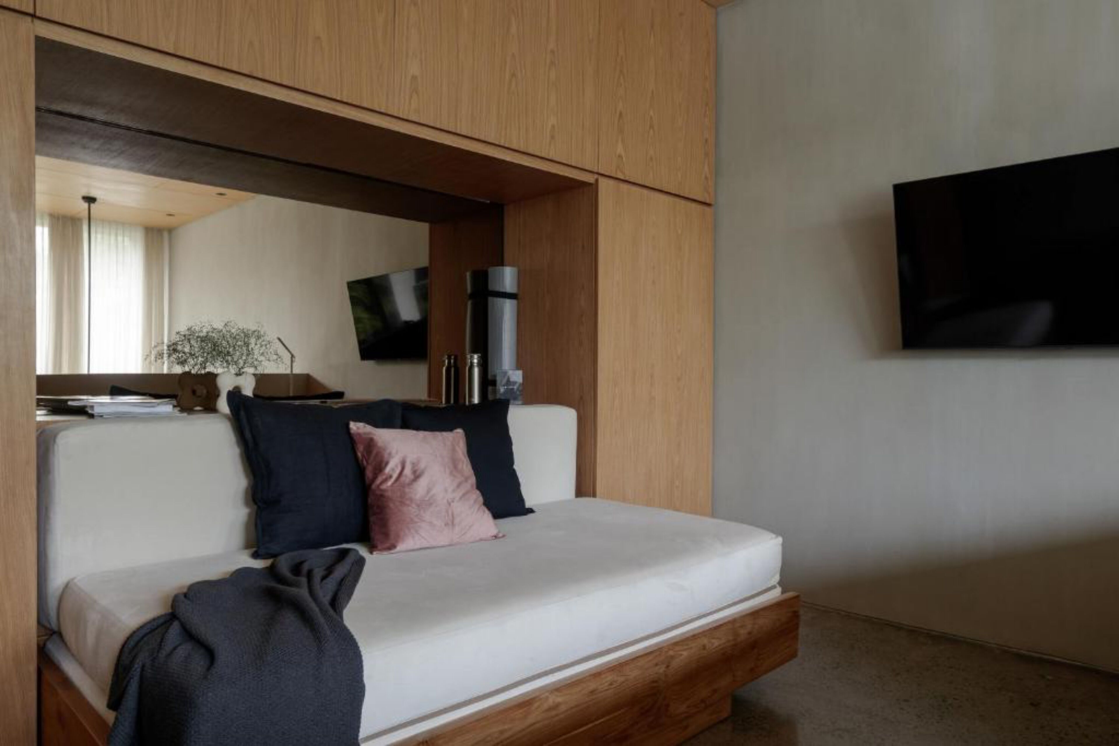 A modern bedroom with a sofa bed, a flat-screen TV, a coffee maker, and a small plant.