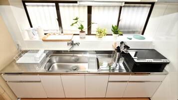Una cocina moderna con un lavamanos de acero inoxidable, una estufa integrada y un ventanal con plantas.